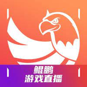 鲲鹏游戏直播-千博资讯