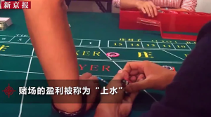 京郊地下赌场被端：37名参赌人员落网 此前被曝一场牌百万输赢-千博