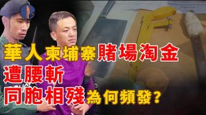 95后温州小伙柬埔寨遭同胞腰斩，华人东南亚淘金为何屡酿惨剧？-千博