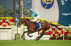 “浪漫勇士”出战澳洲最高荣誉分龄让磅赛!-千博