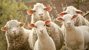 发现赌博平台有“特殊漏洞”,他“薅羊毛”获利3000万-千博