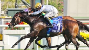 香港金杯跨季13战全胜 “金枪六十”瞄准三冠马王-千博