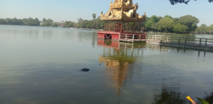 悲剧！缅甸仰光甘多基湖里捞出一具女尸-千博