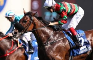 剑指2.2亿巨奖,这10匹港马报名迪拜世界杯赛马日!-千博