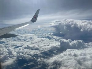 亲测!中国男子用电子卡入境柬埔寨,全程只花2分钟!-千博