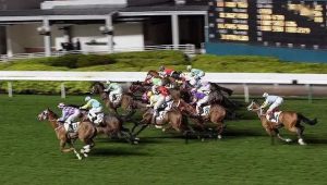 亏损超25亿44年历史的澳门赛马跑不动了-千博