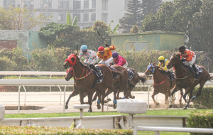 澳门议员称，收到大量赛马会员工之求助-千博