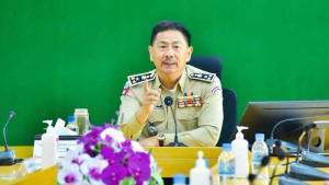 金边警长:严查外国人-千博