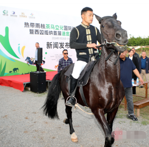 总奖金50万，首届速度赛马邀请赛将开跑！-千博