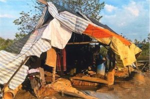 特省棉末县非法采金活动 业者受劝导自愿关闭矿场-千博