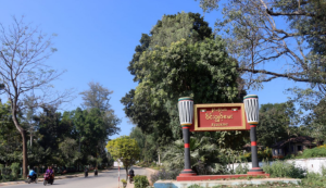 缅北皎梅居民:如果他们继续这样做,我希望民族武装尽快占领皎美镇-千博