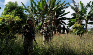 缅甸军方发言人佐敏吞:停火协议生效后,缅军并未参与任何空袭或军事行动-千博