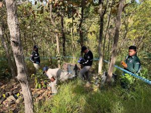 称无力抚养 老妇亲手杀害8岁孙子 埋尸山腰-千博