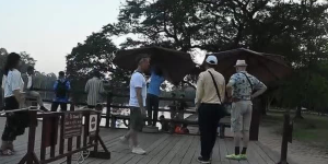 仙女机构工作人员竟殴打卖乌龟的小孩？原因是...-千博