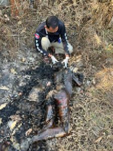 一名26岁的柬埔寨女子被人焚烧，已面目全非！-千博