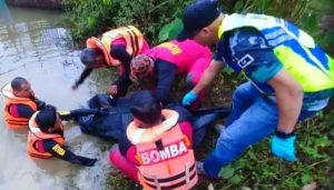 太吓人了!两名大马少年在水道挖蛤蜊,却漂来一具男尸......-千博