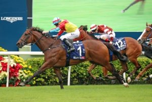 福逸”将出战百周年纪念短途杯-千博