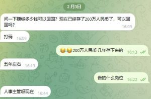 群友投稿：出来打拼5年了，问一下赚够多少钱可以回国？-千博