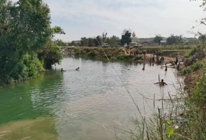 缅北腊戌一名9岁小娃下河洗澡时溺亡,之前这条河里已淹死5个人-千博