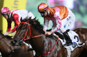 除了这场,潘顿几乎赢遍香港所有主要赛事!-千博