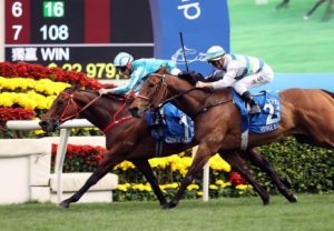 “浪漫勇士”势不可挡勇夺花旗银行香港金杯-千博