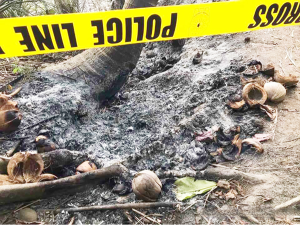 一妇女惨遭杀害、碎尸、焚烧并抛海-千博