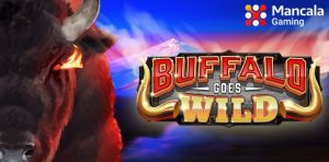 水牛变得狂野-千博