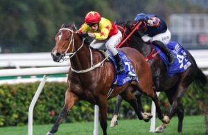 迪拜大战在即,港马状态如何?练马师告东尼揭秘!-千博