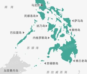 军方将调查中国公民涌入