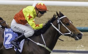 中国骄傲!“加州星球”在迪拜攻下阿乔斯短途锦标-千博