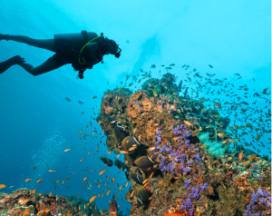 一名中国公民在菲律宾潜水时不幸溺亡-千博