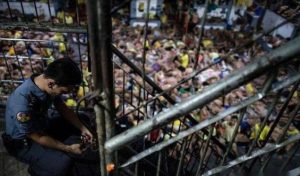 首都区国家监狱2028年将关闭 今年已转移近4500名囚犯-千博