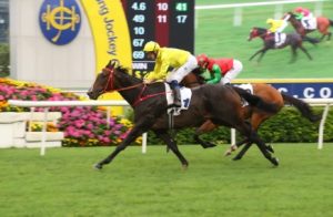 连败两局后,“金钻贵人”今日夺冠!-千博