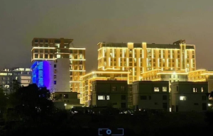 “半年内离开妙瓦底” 又有民地武宣布将打击电诈-千博