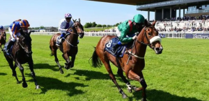 Tattersalls 爱尔兰坚尼与 QuinnBet 合作-千博